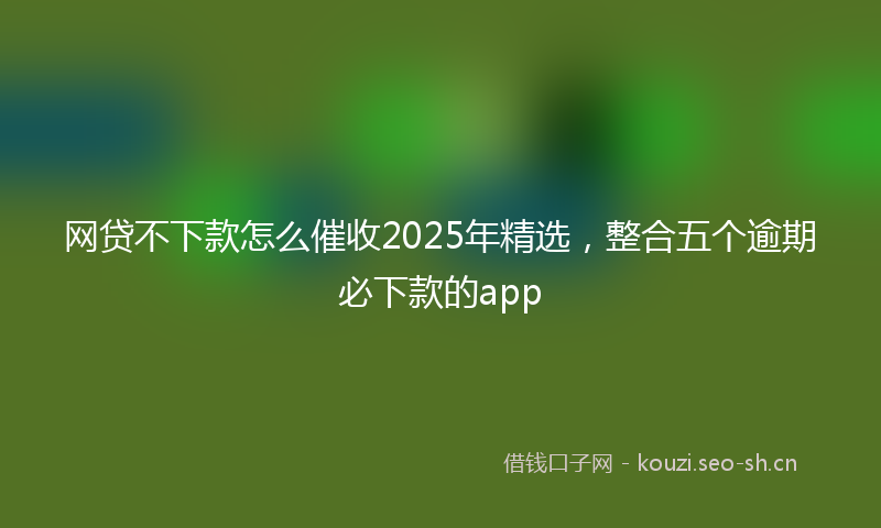 网贷不下款怎么催收2025年精选，整合五个逾期必下款的app