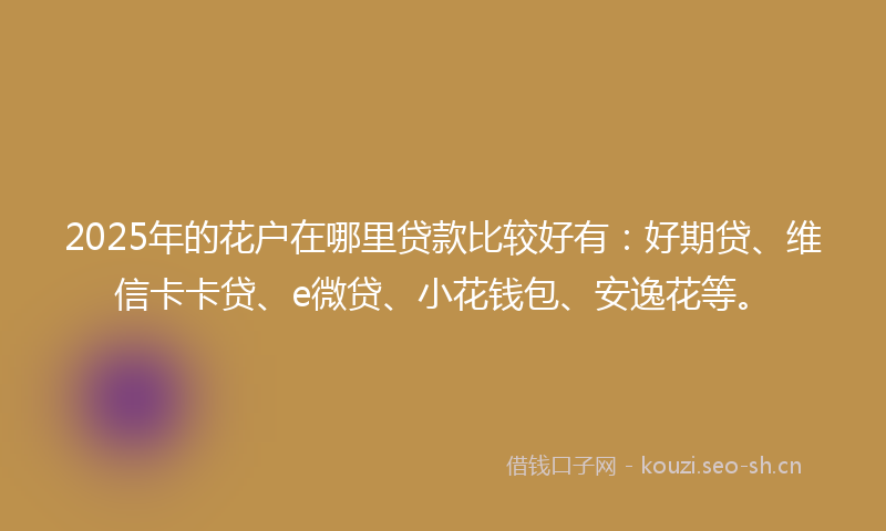 2025年的花户在哪里贷款比较好有：好期贷、维信卡卡贷、e微贷、小花钱包、安逸花等。