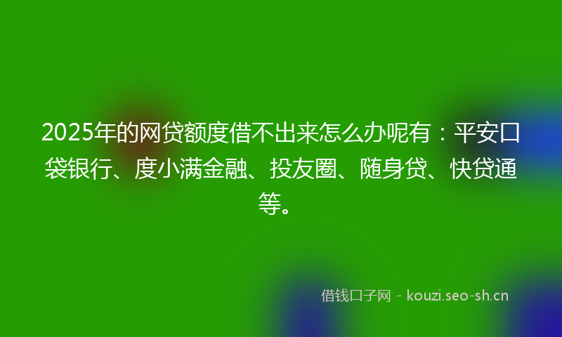 2025年的网贷额度借不出来怎么办呢有：平安口袋银行、度小满金融、投友圈、随身贷、快贷通等。