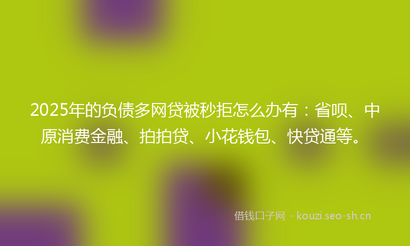 2025年的负债多网贷被秒拒怎么办有：省呗、中原消费金融、拍拍贷、小花钱包、快贷通等。