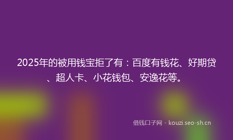 2025年的被用钱宝拒了有：百度有钱花、好期贷、超人卡、小花钱包、安逸花等。