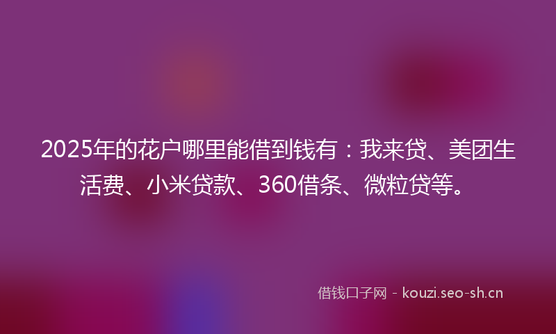 2025年的花户哪里能借到钱有：我来贷、美团生活费、小米贷款、360借条、微粒贷等。