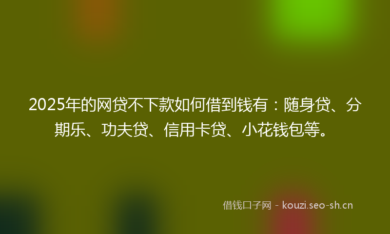2025年的网贷不下款如何借到钱有：随身贷、分期乐、功夫贷、信用卡贷、小花钱包等。