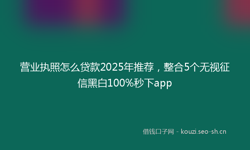 营业执照怎么贷款2025年推荐，整合5个无视征信黑白100%秒下app