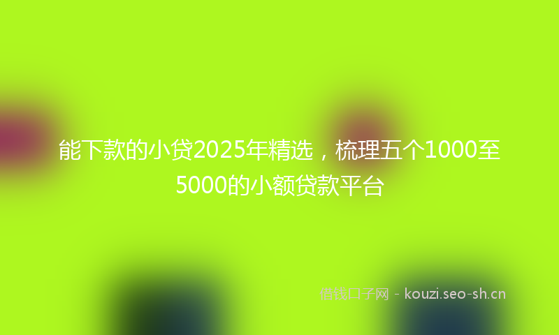 能下款的小贷2025年精选，梳理五个1000至5000的小额贷款平台
