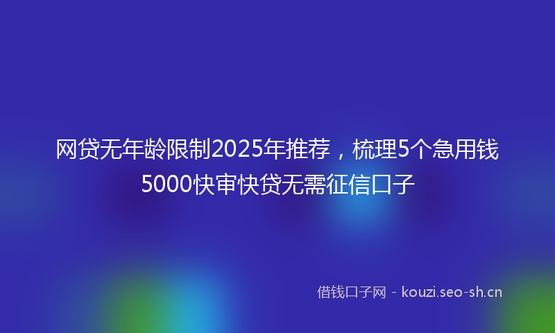 网贷无年龄限制2025年推荐，梳理5个急用钱5000快审快贷无需征信口子