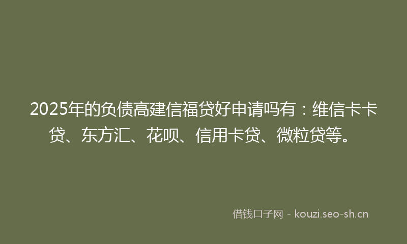 2025年的负债高建信福贷好申请吗有:维信卡卡贷、东方汇、花呗、信用卡贷、微粒贷等。