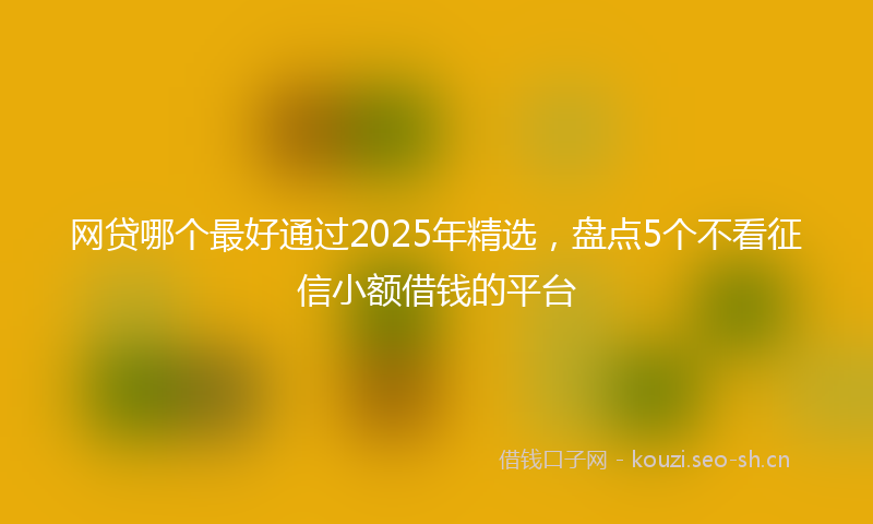 网贷哪个最好通过2025年精选，盘点5个不看征信小额借钱的平台