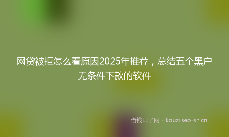 网贷被拒怎么看原因2025年推荐，总结五个黑户无条件下款的软件