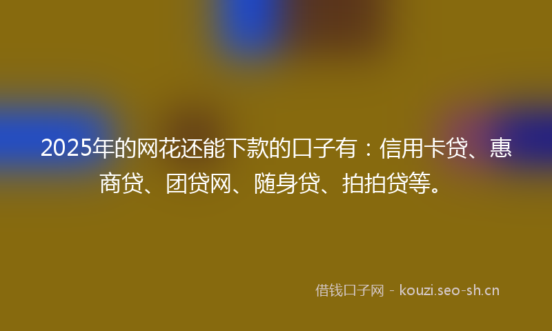 2025年的网花还能下款的口子有：信用卡贷、惠商贷、团贷网、随身贷、拍拍贷等。