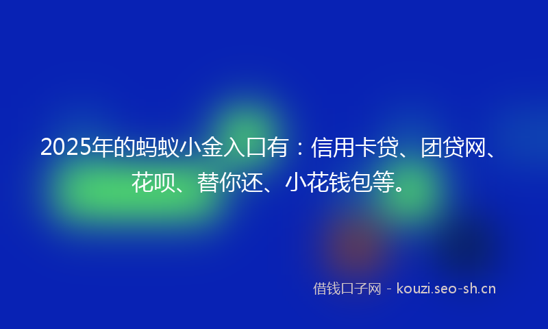 2025年的蚂蚁小金入口有：信用卡贷、团贷网、花呗、替你还、小花钱包等。