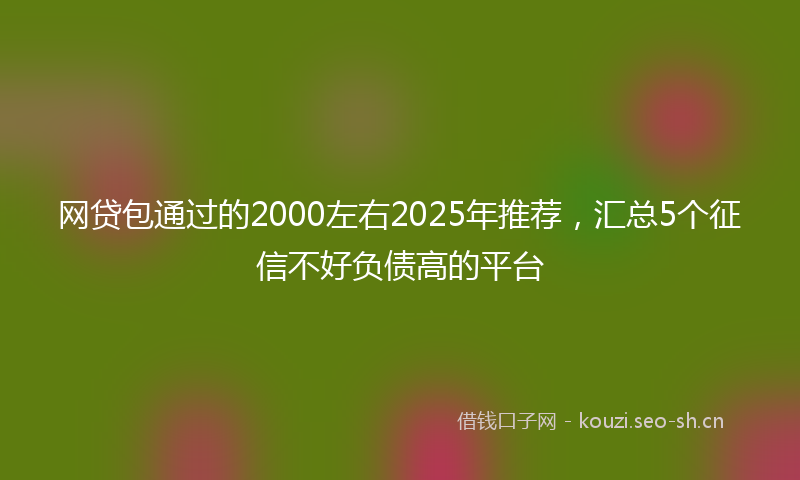 网贷包通过的2000左右2025年推荐,汇总5个征信不好负债高的平台