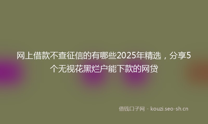 网上借款不查征信的有哪些2025年精选，分享5个无视花黑烂户能下款的网贷