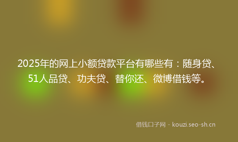 2025年的网上小额贷款平台有哪些有：随身贷、51人品贷、功夫贷、替你还、微博借钱等。
