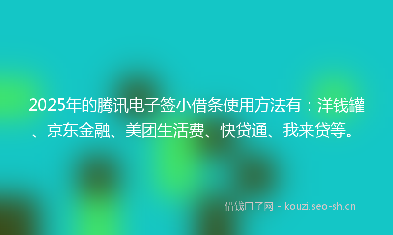 2025年的腾讯电子签小借条使用方法有：洋钱罐、京东金融、美团生活费、快贷通、我来贷等。