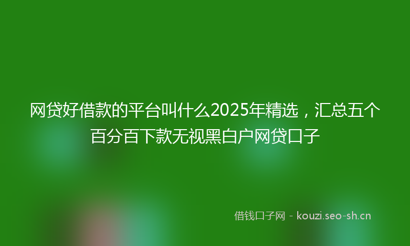 网贷好借款的平台叫什么2025年精选，汇总五个百分百下款无视黑白户网贷口子