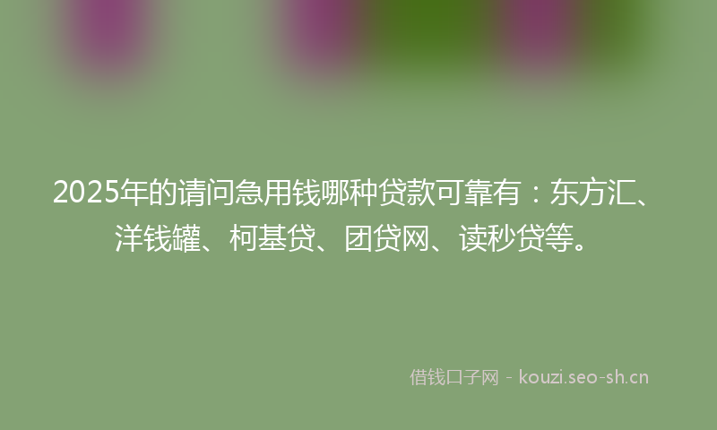 2025年的请问急用钱哪种贷款可靠有：东方汇、洋钱罐、柯基贷、团贷网、读秒贷等。