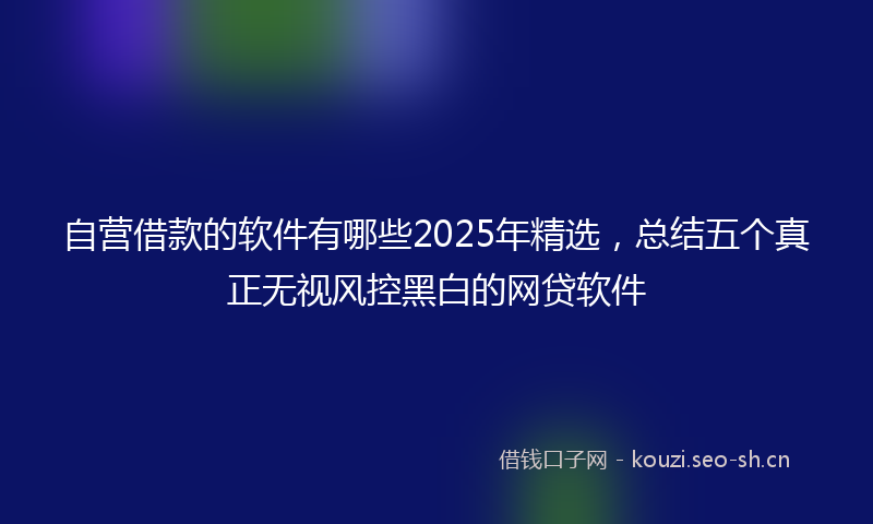自营借款的软件有哪些2025年精选，总结五个真正无视风控黑白的网贷软件