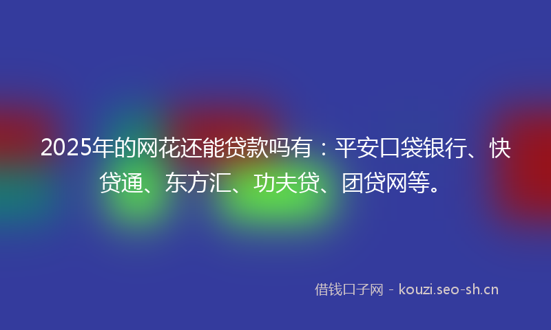 2025年的网花还能贷款吗有：平安口袋银行、快贷通、东方汇、功夫贷、团贷网等。