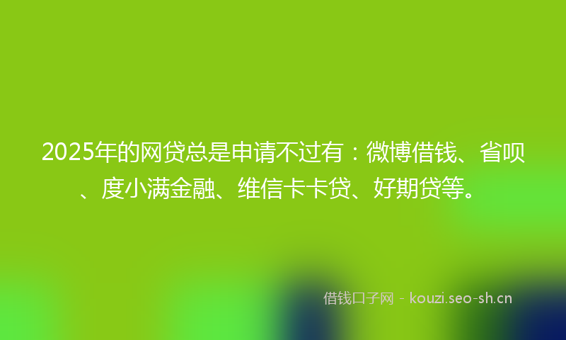 2025年的网贷总是申请不过有：微博借钱、省呗、度小满金融、维信卡卡贷、好期贷等。