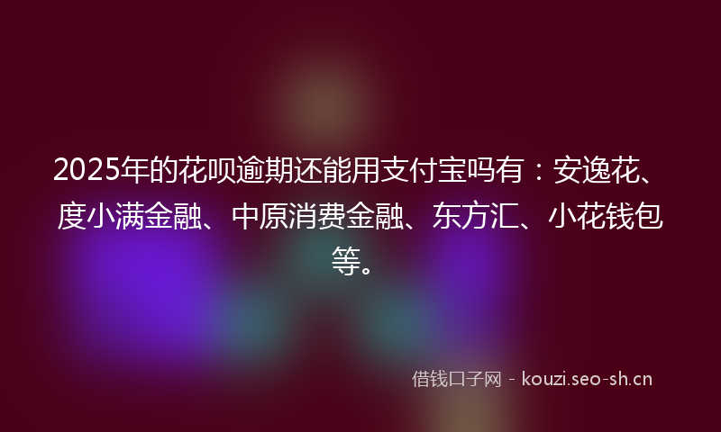 2025年的花呗逾期还能用支付宝吗有：安逸花、度小满金融、中原消费金融、东方汇、小花钱包等。