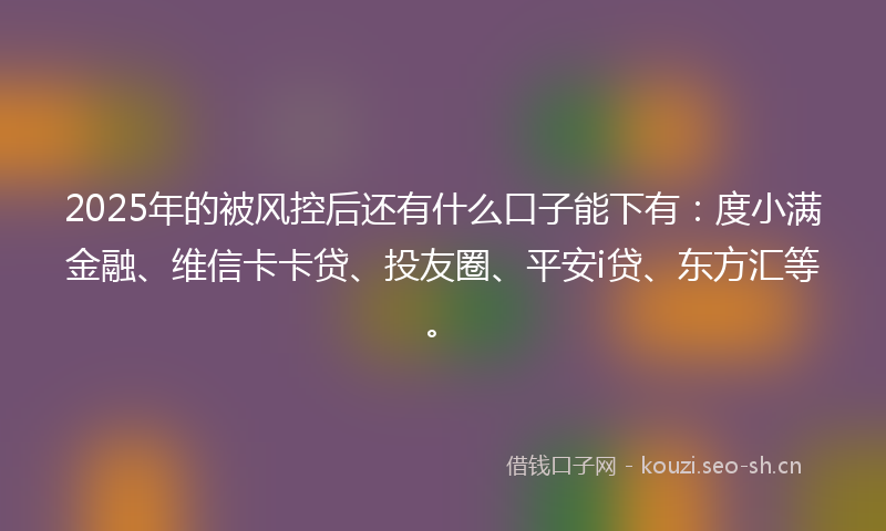 2025年的被风控后还有什么口子能下有：度小满金融、维信卡卡贷、投友圈、平安i贷、东方汇等。