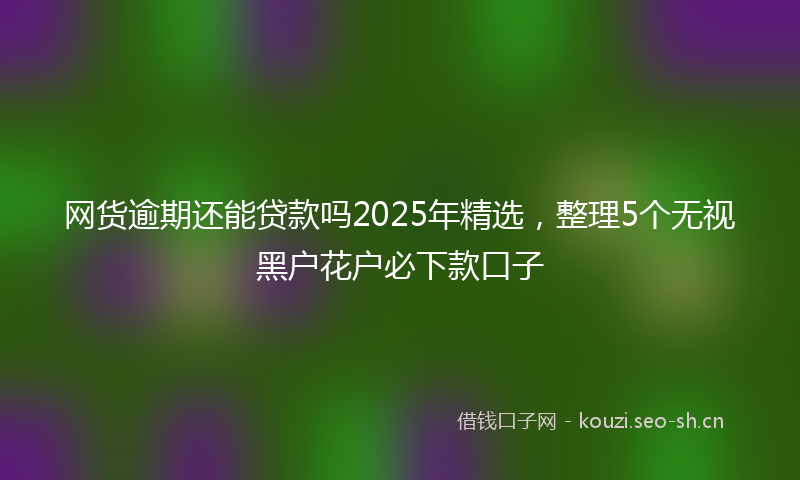 网货逾期还能贷款吗2025年精选，整理5个无视黑户花户必下款口子