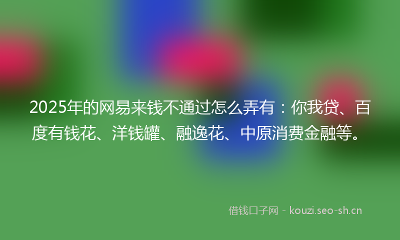 2025年的网易来钱不通过怎么弄有：你我贷、百度有钱花、洋钱罐、融逸花、中原消费金融等。