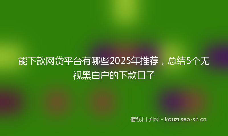 能下款网贷平台有哪些2025年推荐，总结5个无视黑白户的下款口子