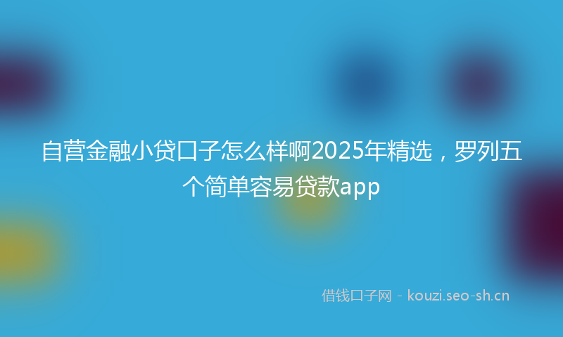 自营金融小贷口子怎么样啊2025年精选，罗列五个简单容易贷款app