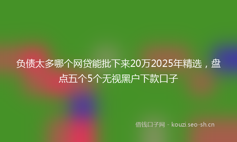 负债太多哪个网贷能批下来20万2025年精选，盘点五个5个无视黑户下款口子