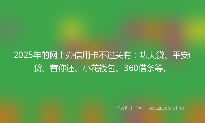 2025年的网上办信用卡不过关有：功夫贷、平安i贷、替你还、小花钱包、360借条等。