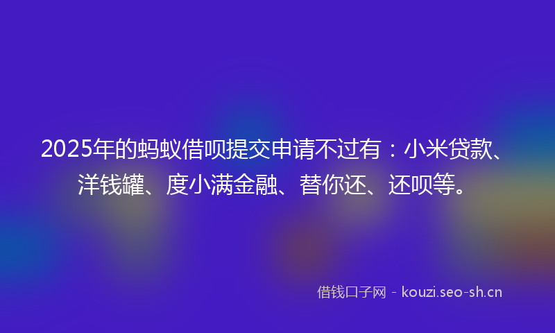 2025年的蚂蚁借呗提交申请不过有：小米贷款、洋钱罐、度小满金融、替你还、还呗等。