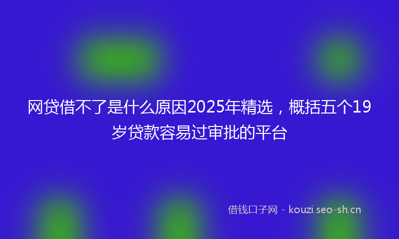 网贷借不了是什么原因2025年精选，概括五个19岁贷款容易过审批的平台