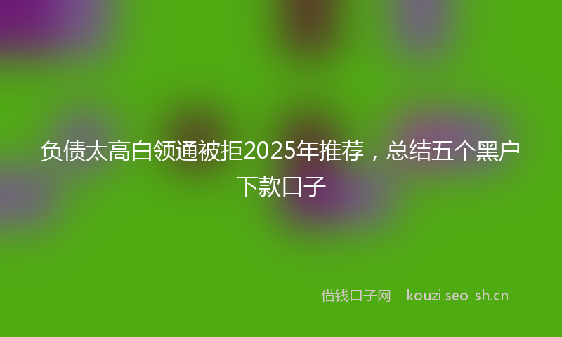 负债太高白领通被拒2025年推荐，总结五个黑户下款口子