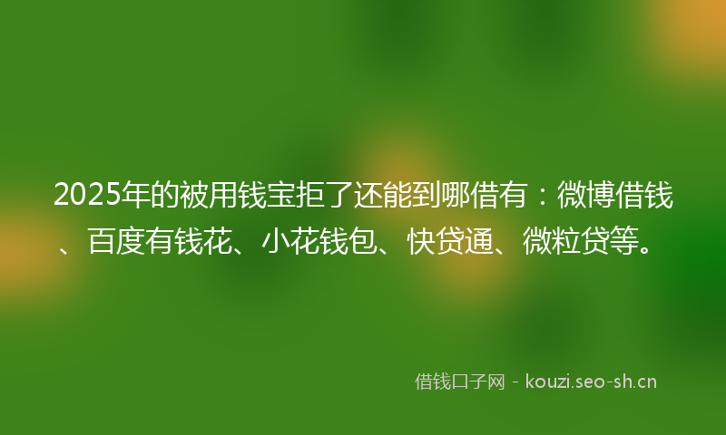 2025年的被用钱宝拒了还能到哪借有：微博借钱、百度有钱花、小花钱包、快贷通、微粒贷等。