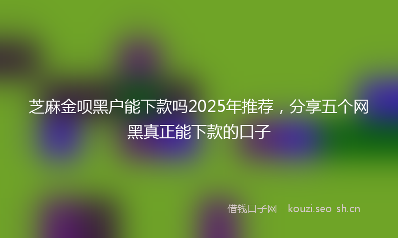 芝麻金呗黑户能下款吗2025年推荐，分享五个网黑真正能下款的口子