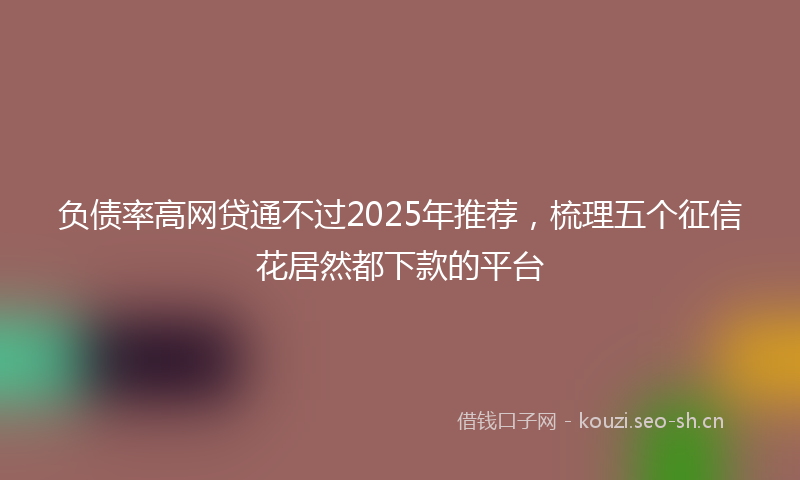 负债率高网贷通不过2025年推荐，梳理五个征信花居然都下款的平台