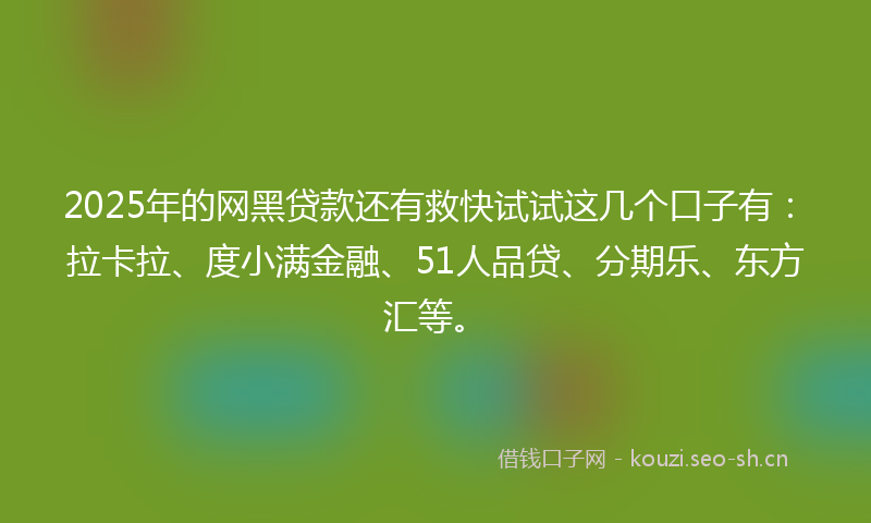 2025年的网黑贷款还有救快试试这几个口子有：拉卡拉、度小满金融、51人品贷、分期乐、东方汇等。