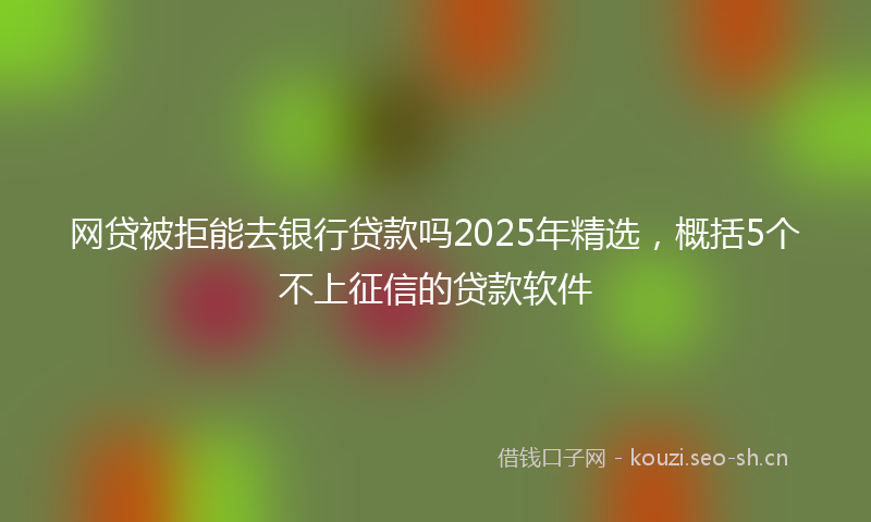 网贷被拒能去银行贷款吗2025年精选，概括5个不上征信的贷款软件