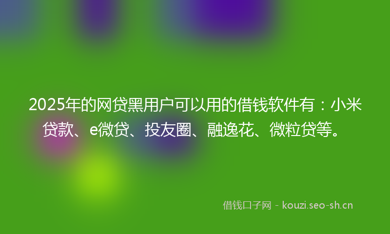 2025年的网贷黑用户可以用的借钱软件有：小米贷款、e微贷、投友圈、融逸花、微粒贷等。