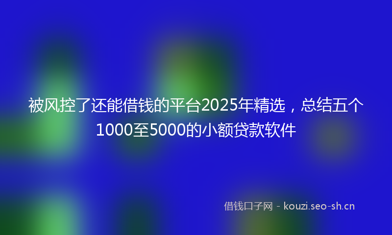 被风控了还能借钱的平台2025年精选，总结五个1000至5000的小额贷款软件