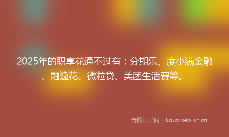 2025年的职享花通不过有：分期乐、度小满金融、融逸花、微粒贷、美团生活费等。