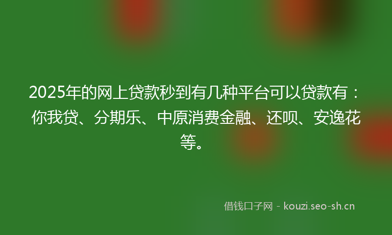 2025年的网上贷款秒到有几种平台可以贷款有：你我贷、分期乐、中原消费金融、还呗、安逸花等。