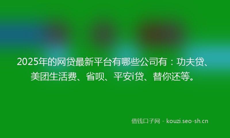 2025年的网贷最新平台有哪些公司有：功夫贷、美团生活费、省呗、平安i贷、替你还等。