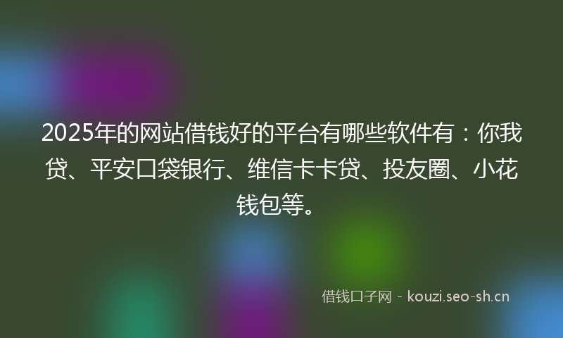 2025年的网站借钱好的平台有哪些软件有：你我贷、平安口袋银行、维信卡卡贷、投友圈、小花钱包等。