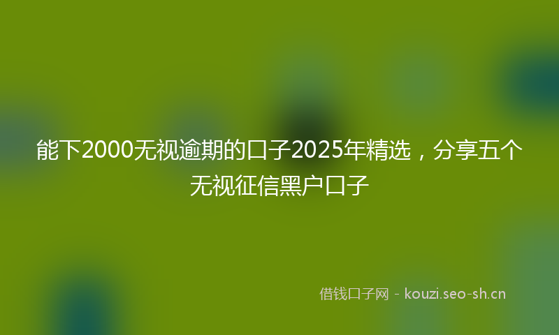 能下2000无视逾期的口子2025年精选，分享五个无视征信黑户口子