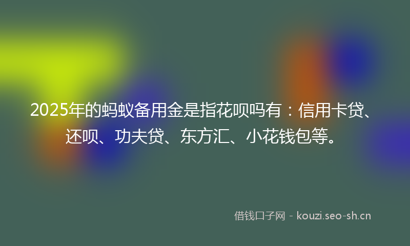 2025年的蚂蚁备用金是指花呗吗有：信用卡贷、还呗、功夫贷、东方汇、小花钱包等。
