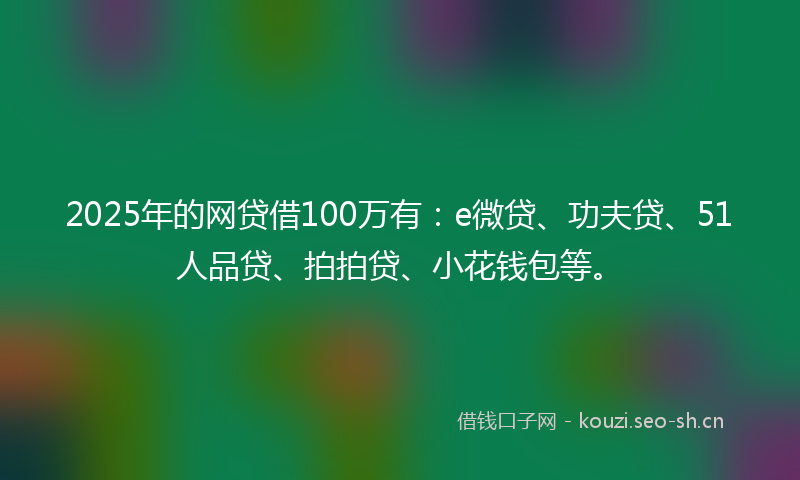 2025年的网贷借100万有：e微贷、功夫贷、51人品贷、拍拍贷、小花钱包等。
