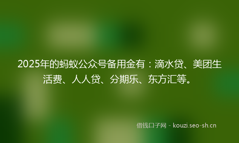 2025年的蚂蚁公众号备用金有：滴水贷、美团生活费、人人贷、分期乐、东方汇等。